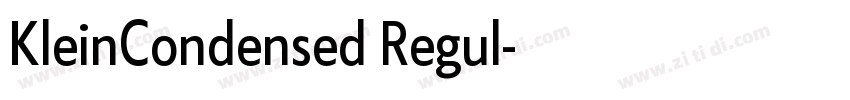 KleinCondensed Regul字体转换